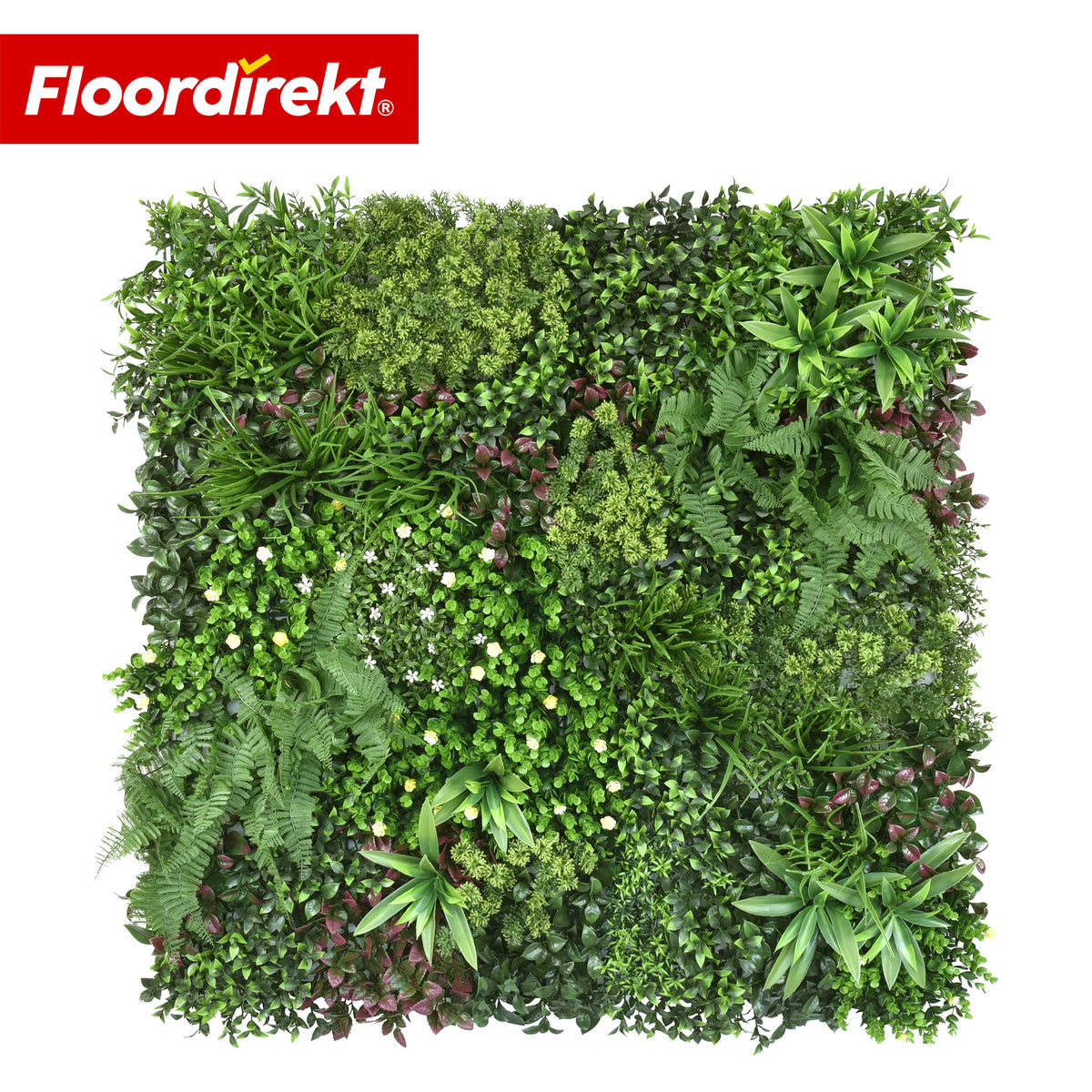 Mur végétal | Wonderland | Panneau de plantes artificielles réalistes | Stable, résistant au soleil & extensible | 100 × 100 cm