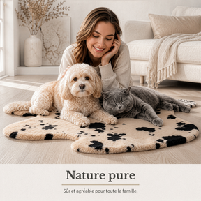 T5_Vache