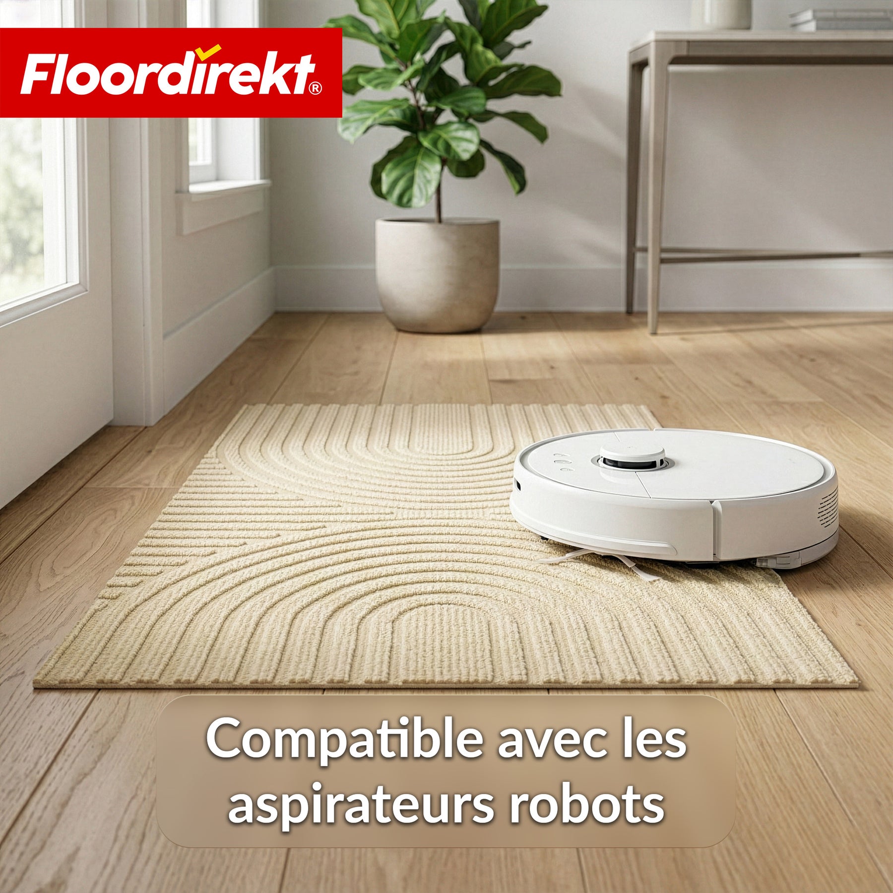 Tapis d’entrée | Circa | Tapis de porte lavable pour intérieur & extérieur | Tapis antidérapant avec dos en TPE