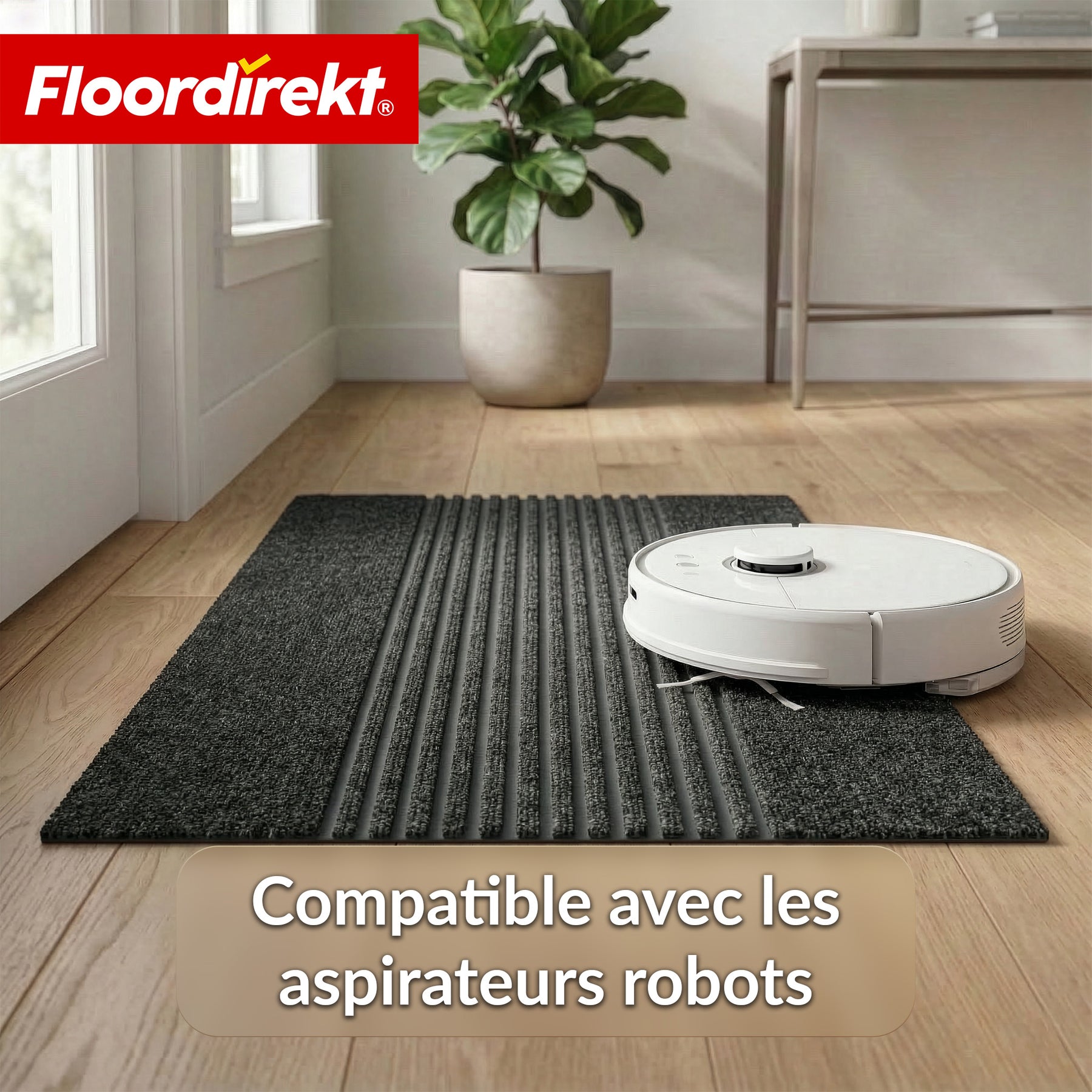 Tapis d’entrée | Circa | Tapis de porte lavable pour intérieur & extérieur | Tapis antidérapant avec dos en TPE