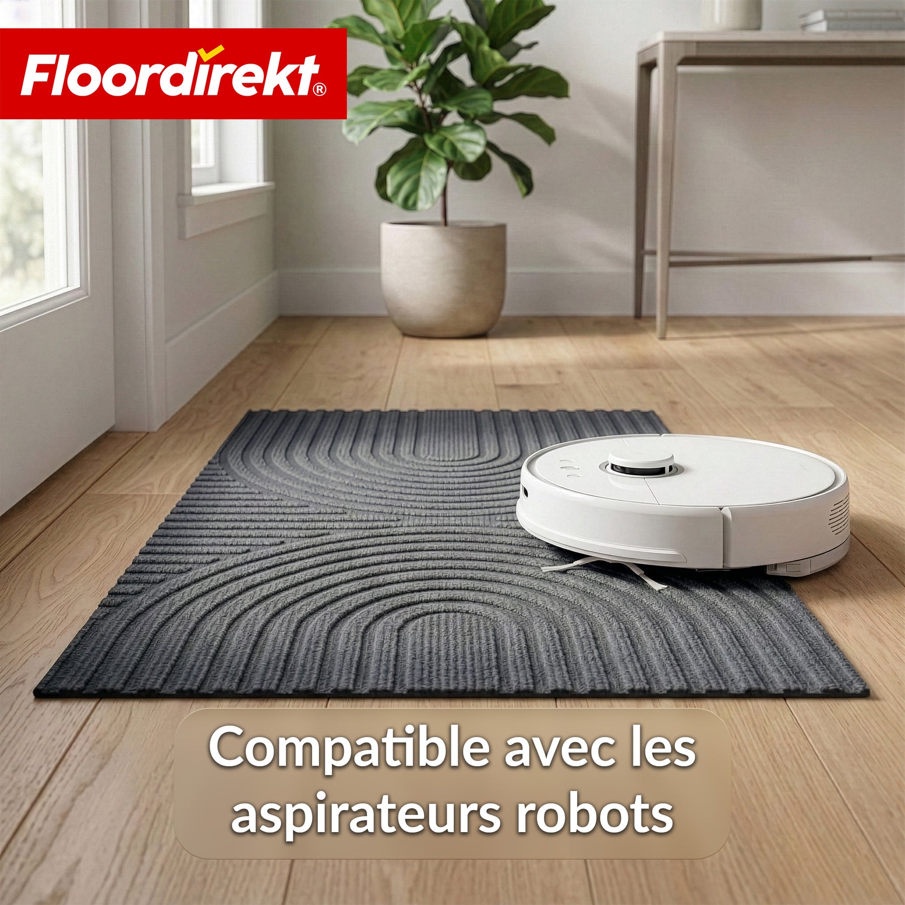 Tapis d’entrée | Circa | Tapis de porte lavable pour intérieur & extérieur | Tapis antidérapant avec dos en TPE