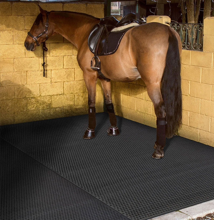 Tapis de poids moyen - Swish Equestrian Ireland Tapis de poids moyen - Swish Equestrian Ireland