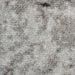 F4_Gris
